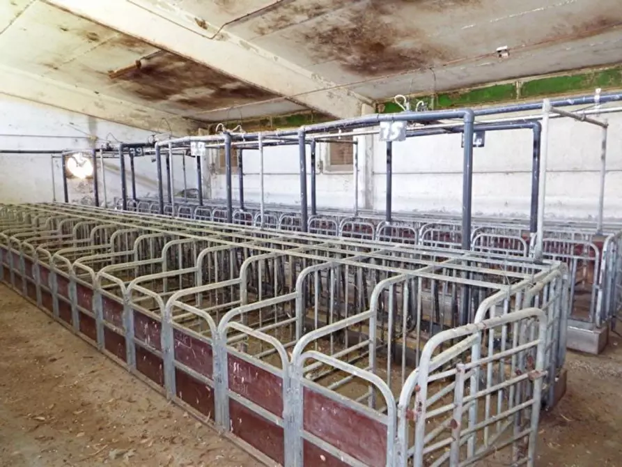 appartamento in vendita a Dolianova