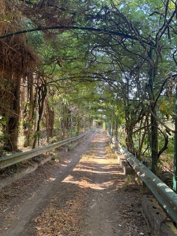 casa indipendente in vendita a Dolianova