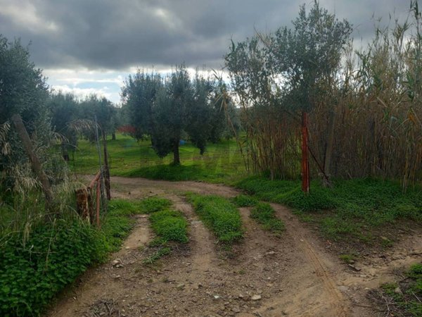 terreno agricolo in vendita a Dolianova