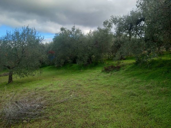 terreno agricolo in vendita a Dolianova