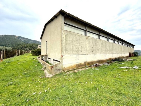 locale commerciale in vendita a Dolianova