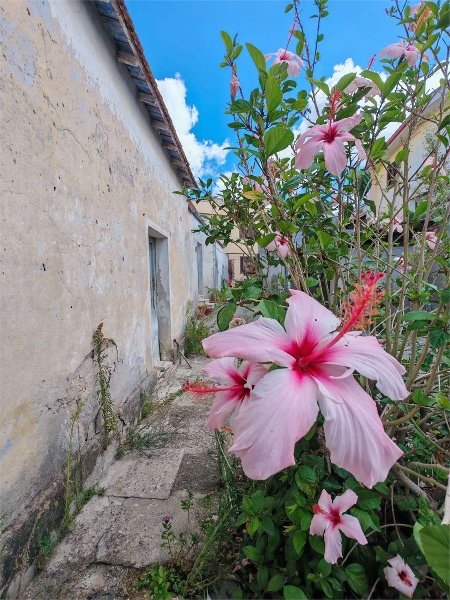 casa indipendente in vendita a Dolianova