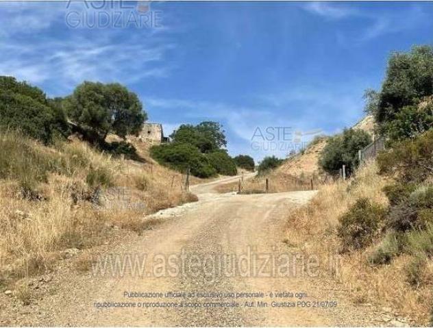 terreno agricolo in vendita a Dolianova