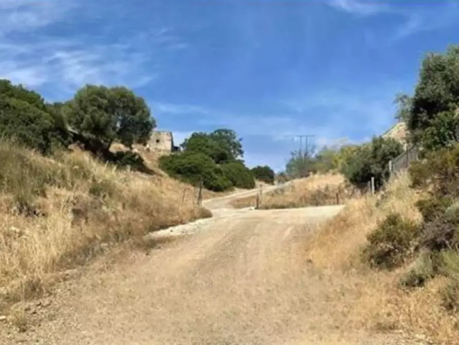 terreno agricolo in vendita a Dolianova