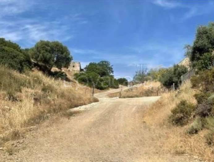 terreno agricolo in vendita a Dolianova
