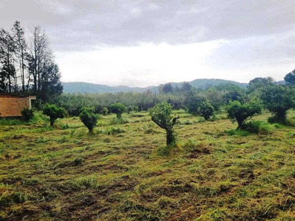 terreno agricolo in vendita a Dolianova