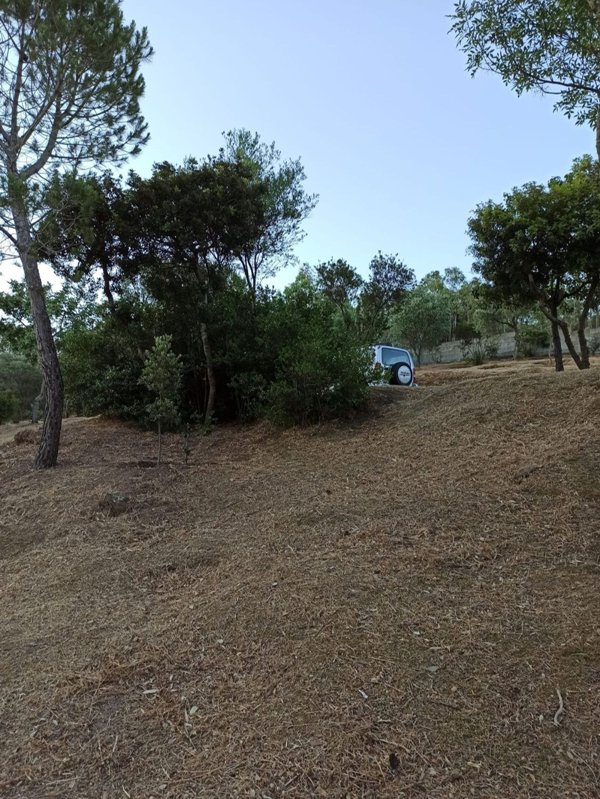 terreno agricolo in vendita a Dolianova