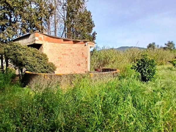 terreno agricolo in vendita a Dolianova