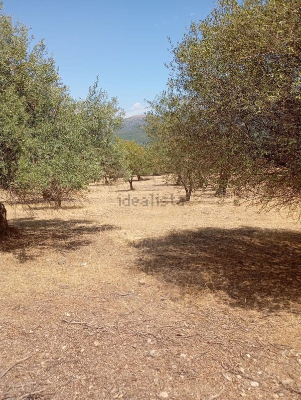 terreno agricolo in vendita a Dolianova