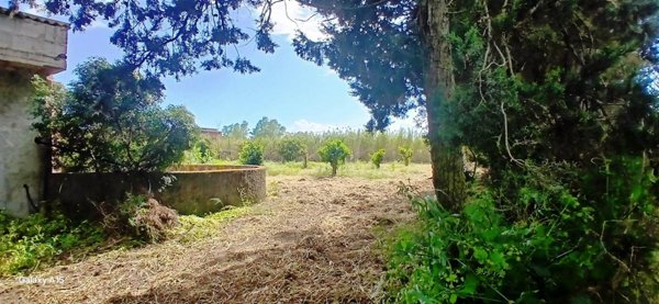 terreno agricolo in vendita a Dolianova