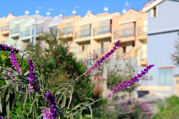 casa indipendente in vendita a Dolianova