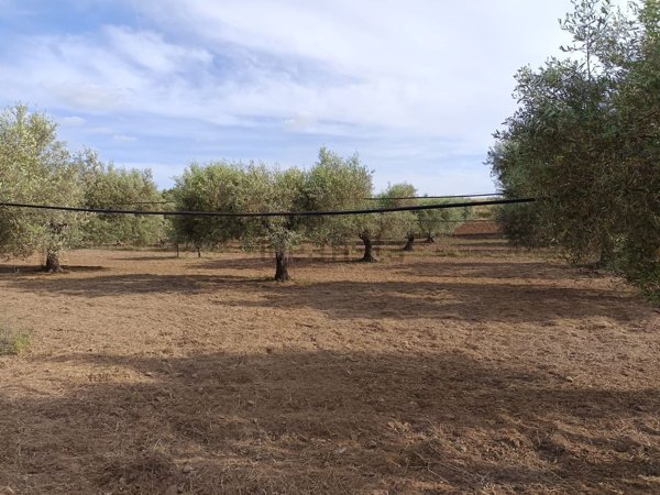 terreno in vendita a Dolianova