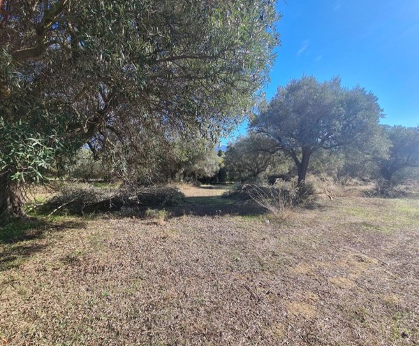 terreno in vendita a Dolianova