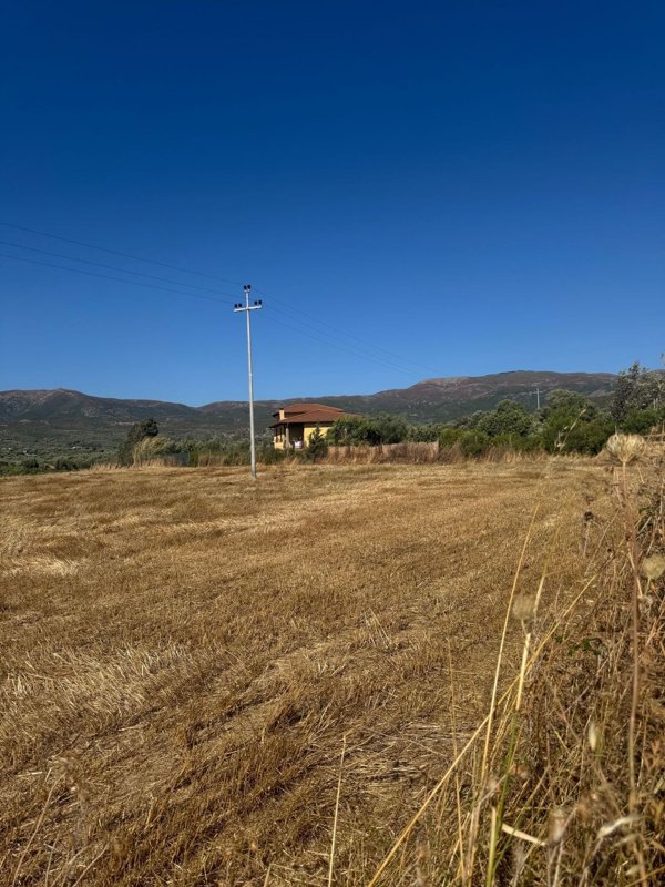 terreno in vendita a Dolianova