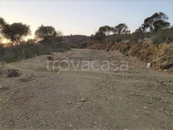 terreno agricolo in vendita a Domus de Maria in zona Chia