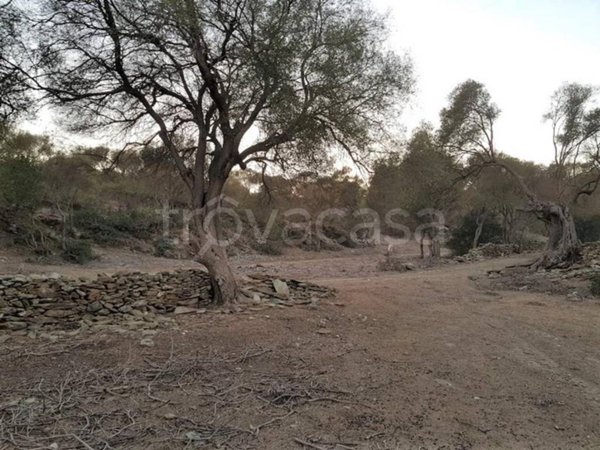 terreno agricolo in vendita a Domus de Maria in zona Chia