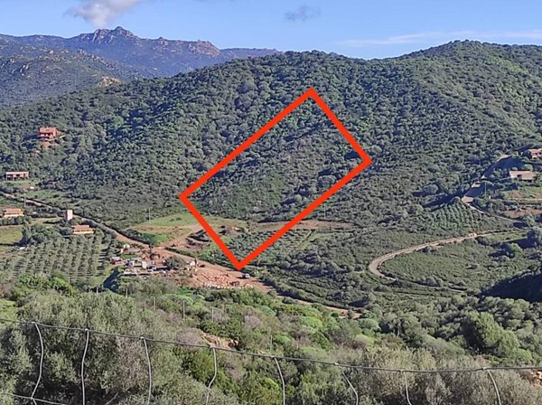terreno agricolo in vendita a Domus de Maria in zona Chia