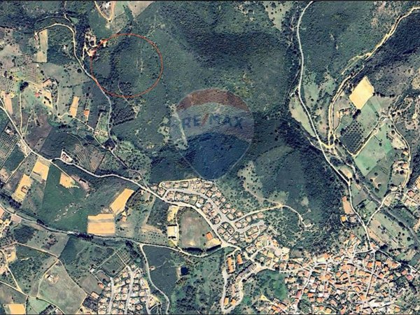terreno agricolo in vendita a Domus de Maria in zona Chia