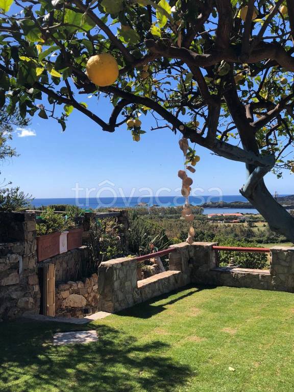 casa indipendente in vendita a Domus de Maria in zona Chia