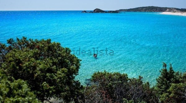 casa indipendente in vendita a Domus de Maria in zona Chia