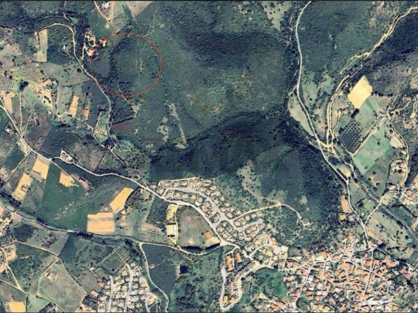 terreno agricolo in vendita a Domus de Maria