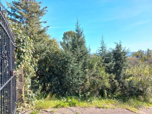 casa indipendente in vendita a Domusnovas