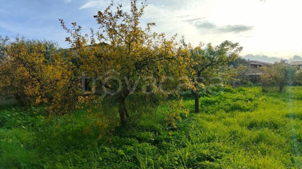 casa indipendente in vendita a Domusnovas