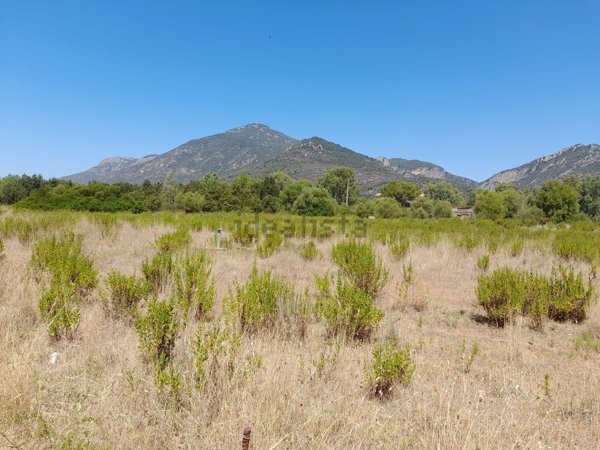 terreno agricolo in vendita a Domusnovas