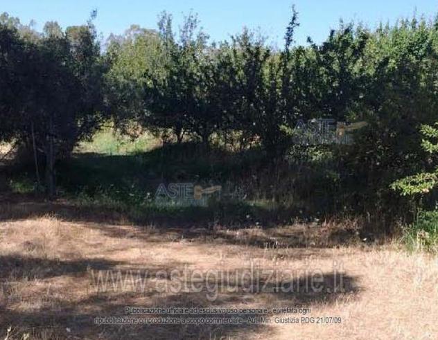terreno edificabile in vendita a Donori