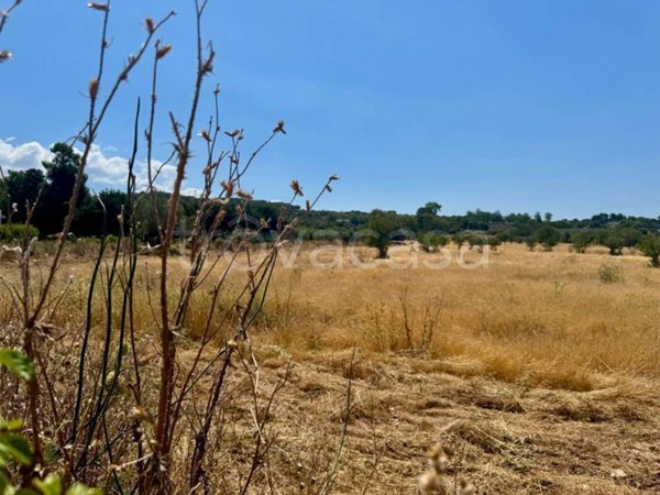 terreno agricolo in vendita a Donori