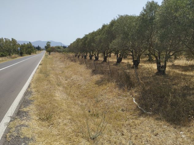 terreno agricolo in vendita a Giba