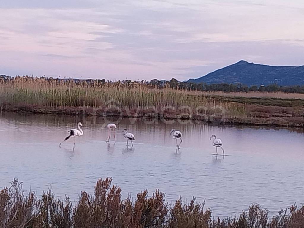 terreno agricolo in vendita a Giba