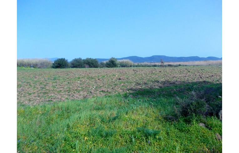 terreno agricolo in vendita a Giba