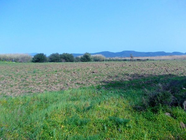 terreno agricolo in vendita a Giba