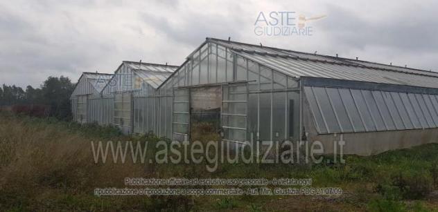 terreno agricolo in vendita a Giba