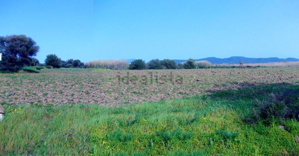 terreno agricolo in vendita a Giba