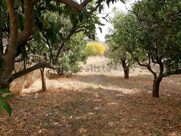 casa indipendente in vendita a Giba
