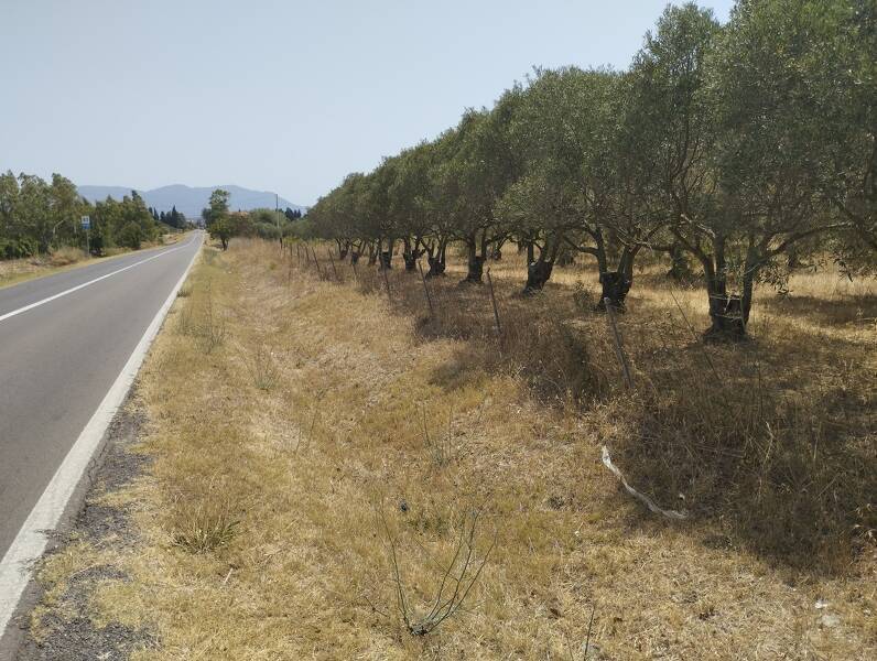 terreno agricolo in vendita a Giba