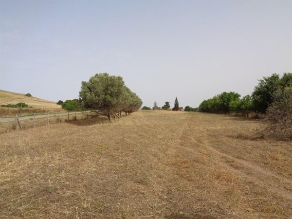 terreno agricolo in vendita a Gonnesa