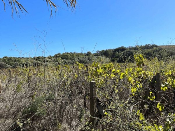 terreno agricolo in vendita a Gonnesa