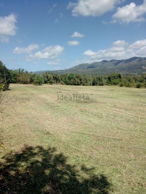 terreno agricolo in vendita a Gonnesa
