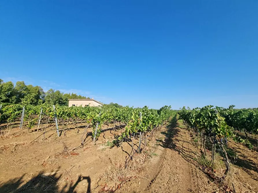 terreno agricolo in vendita a Gonnesa