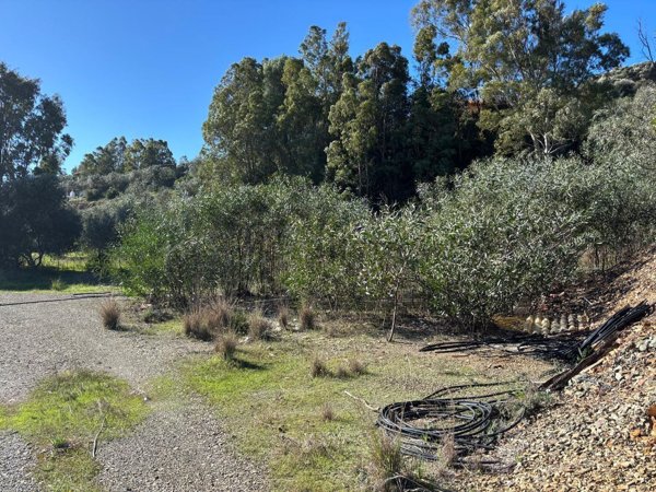 casa indipendente in vendita a Gonnesa