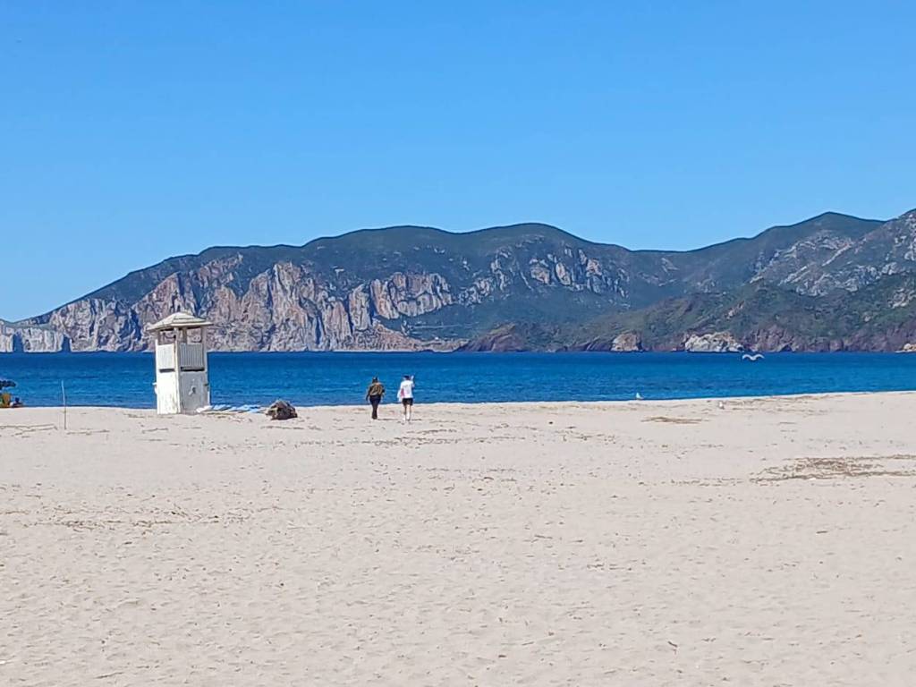 immagine annuncio 0 di 5