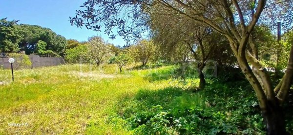 casa indipendente in vendita a Gonnesa