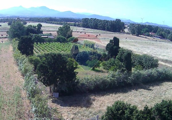 terreno agricolo in vendita a Gonnosfanadiga