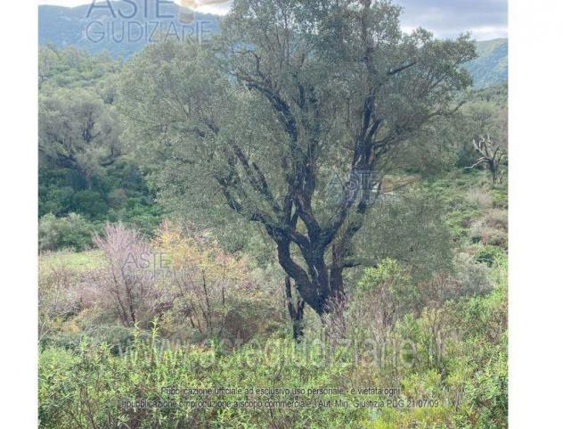 terreno edificabile in vendita a Gonnosfanadiga