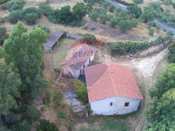 immagine annuncio 0 di 15