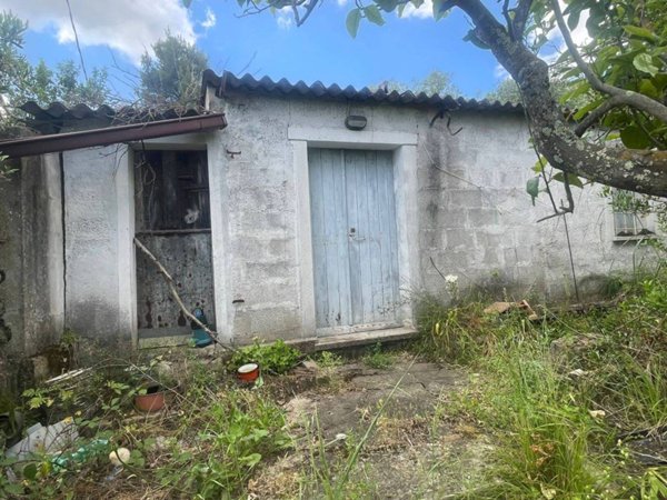 terreno agricolo in vendita a Guspini