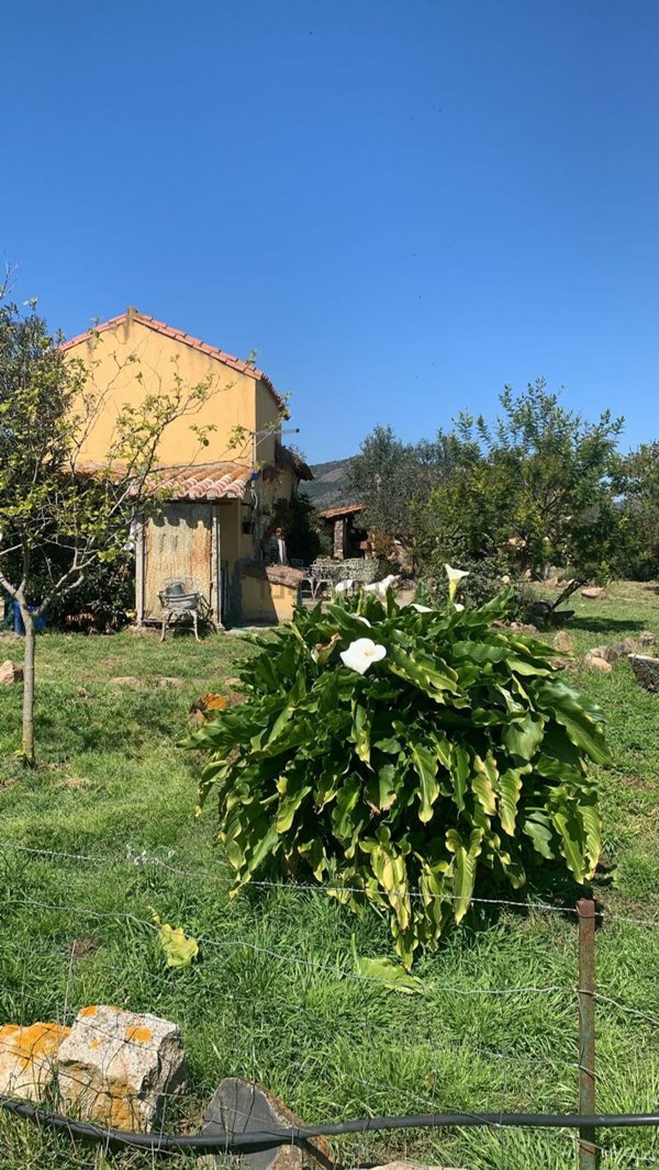 casale in vendita a Guspini